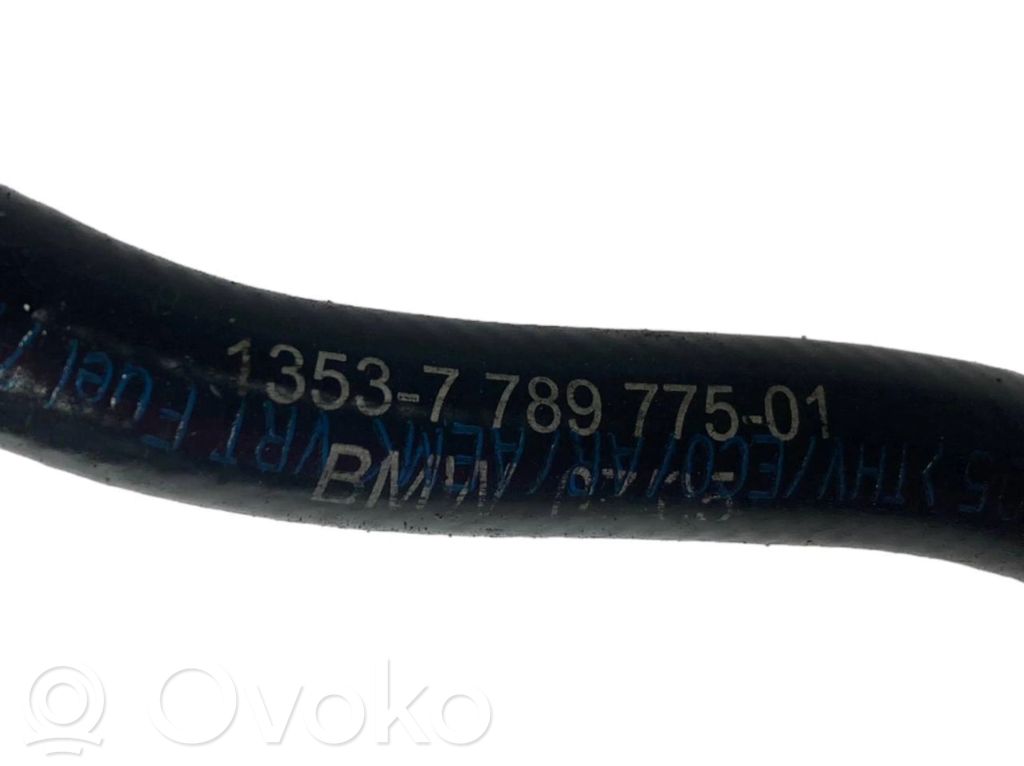 Caurule (-es) / šļūtene (-es)