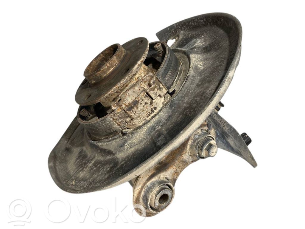Rear wheel hub shaft joint (stupica, capfa)