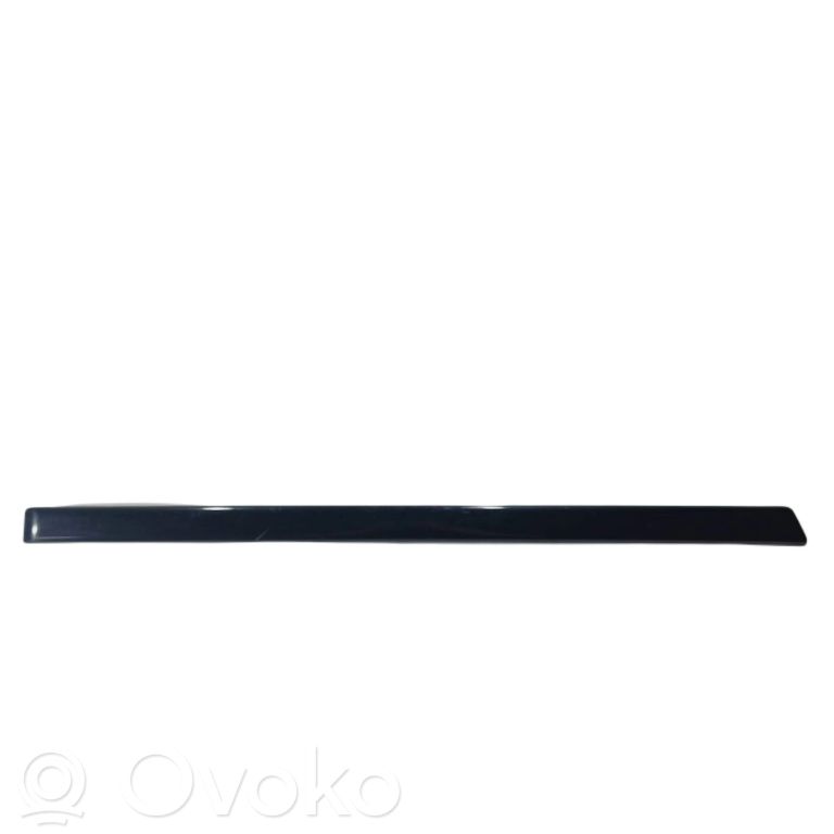 Aizmugurē durvju dekoratīvā apdare (moldings)