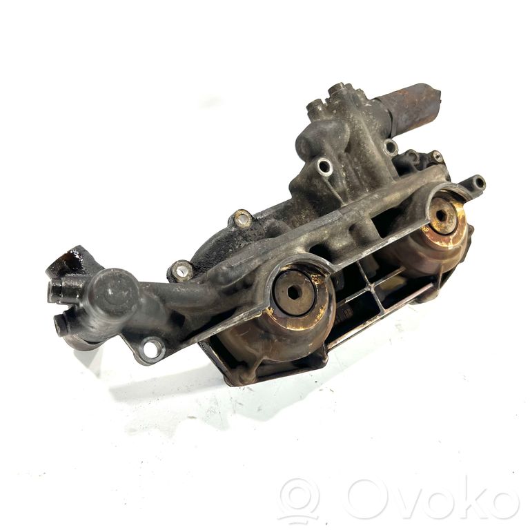 Sadales vārpstas skriemelis / "Vanos"