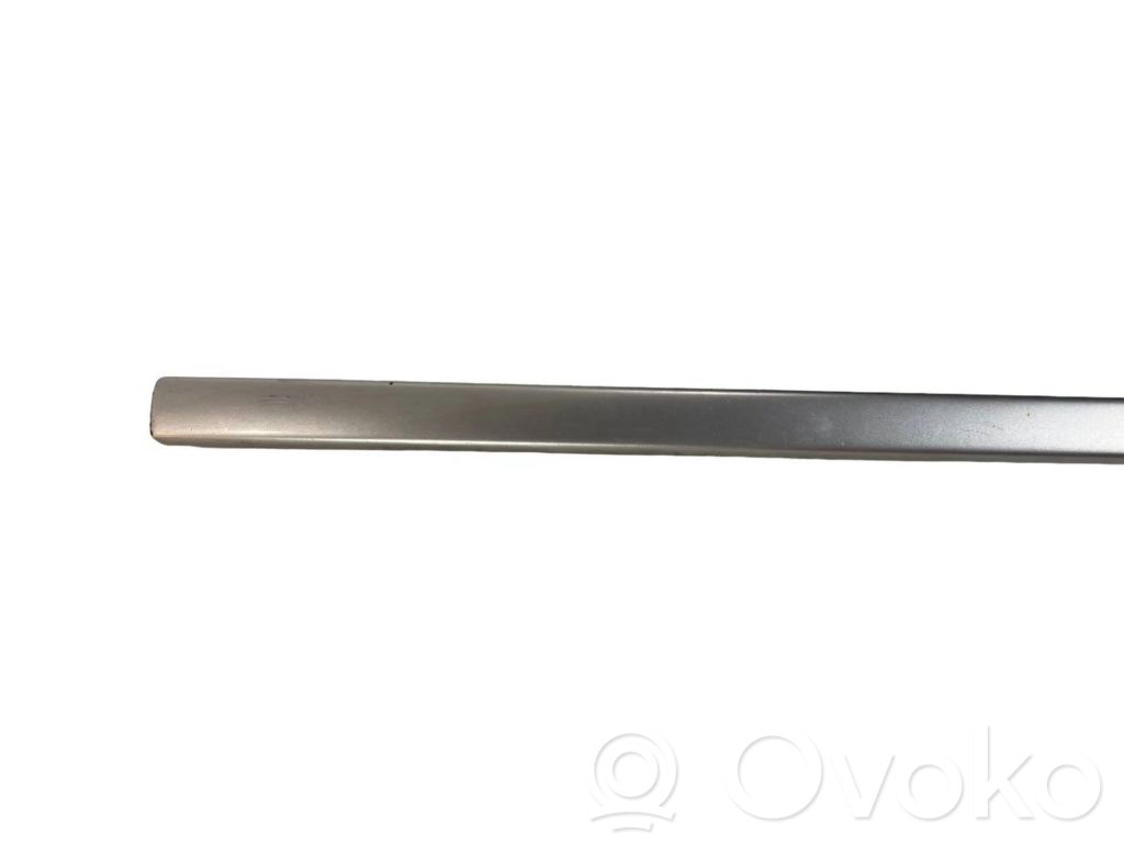 Priekšpusē durvju dekoratīvā apdare (moldings)
