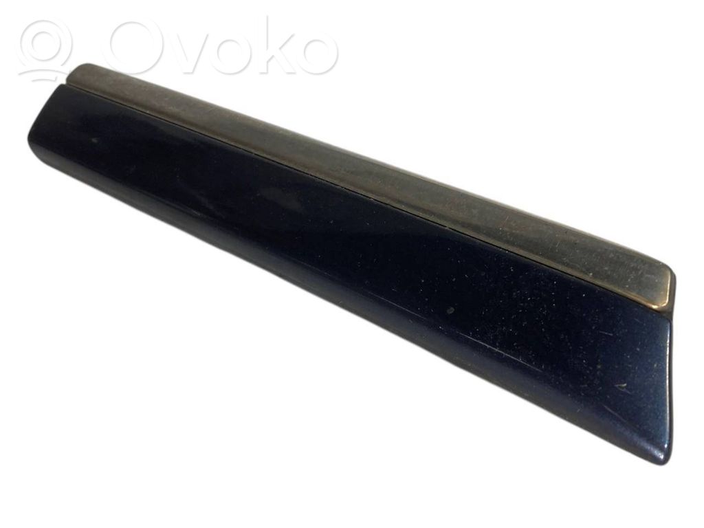 Fender decorative trim (molding)