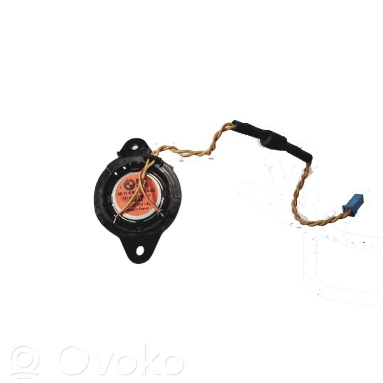 Speaker(s) in the rear door