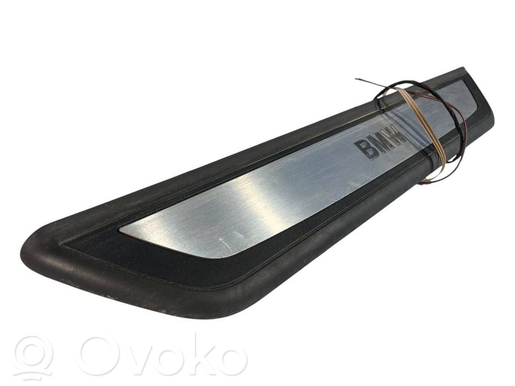 Front sill trim (inner)