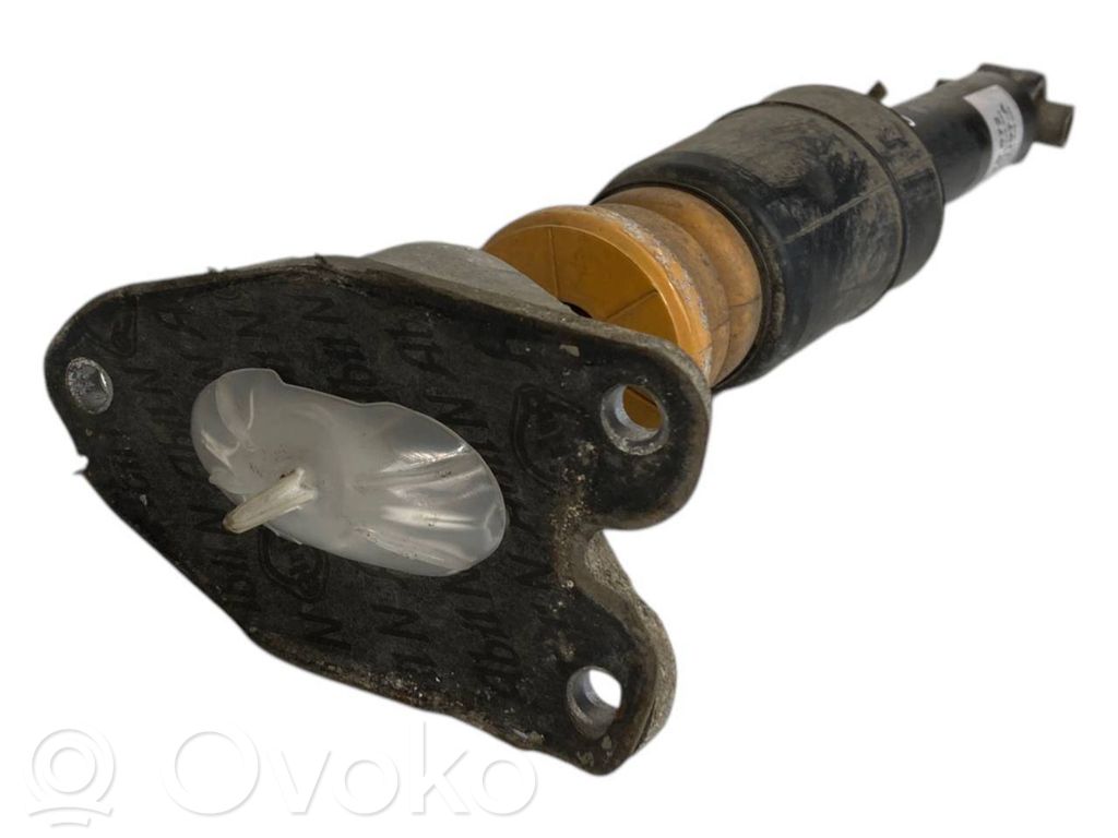 Rear shock absorber