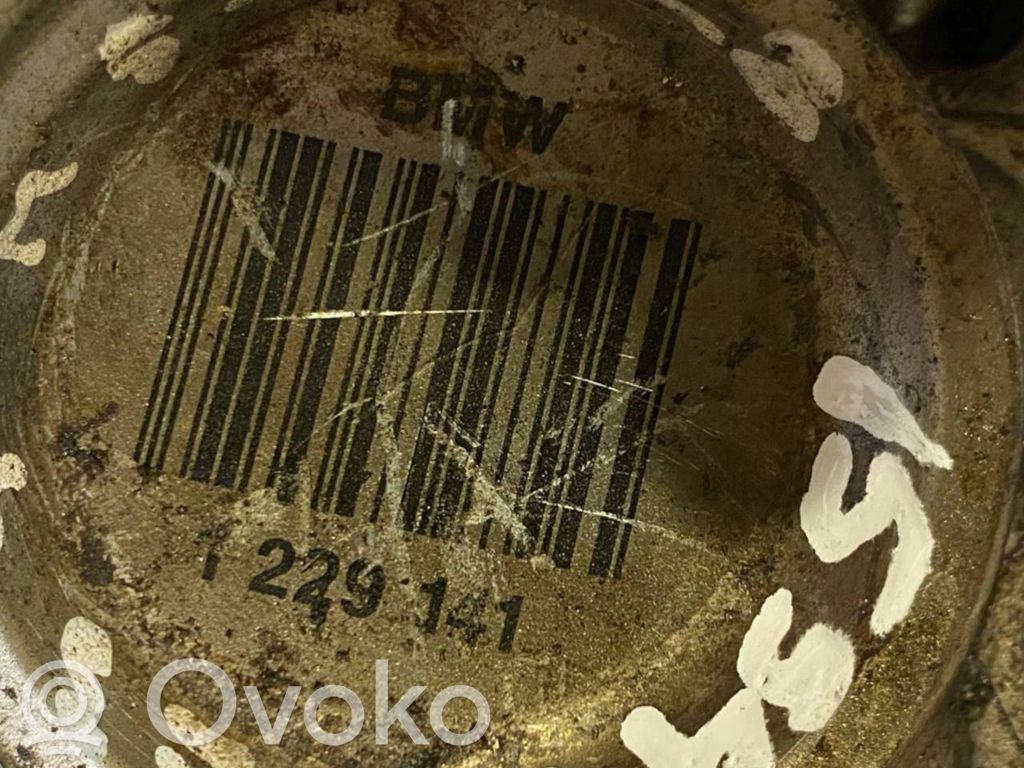 Aizmugurējā pusass