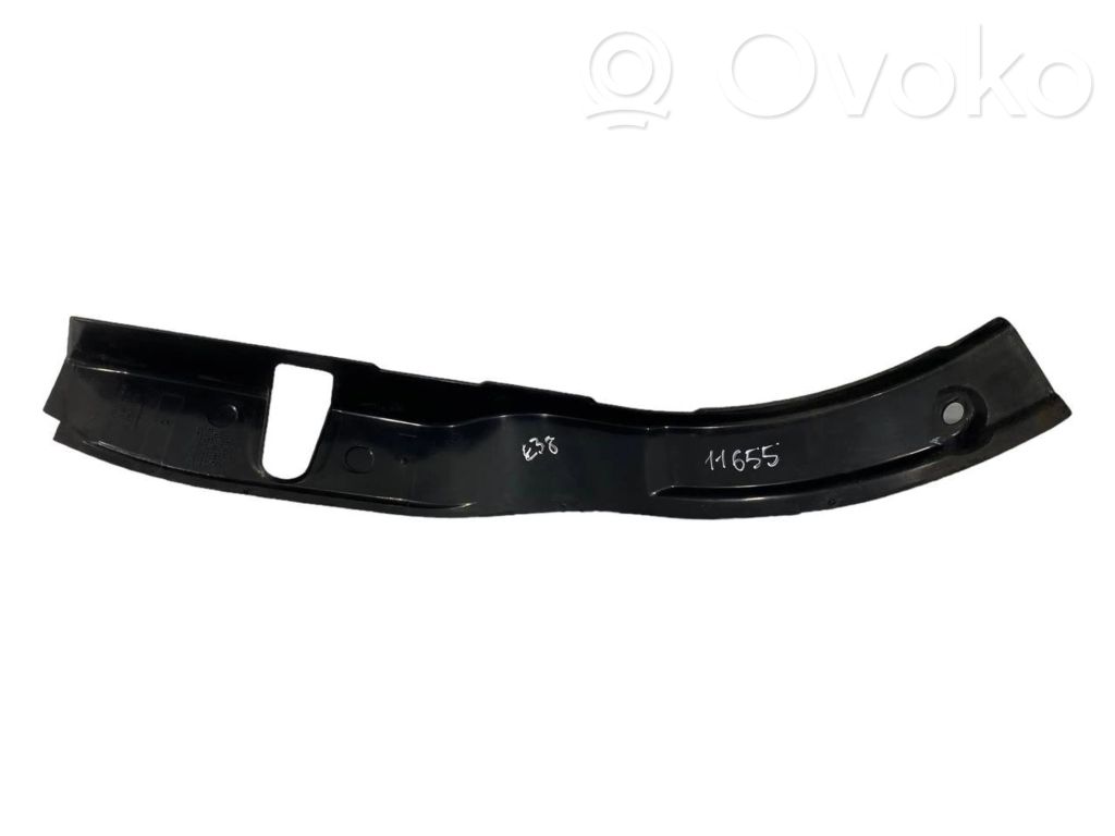 Rear door decorative trim (moulding)