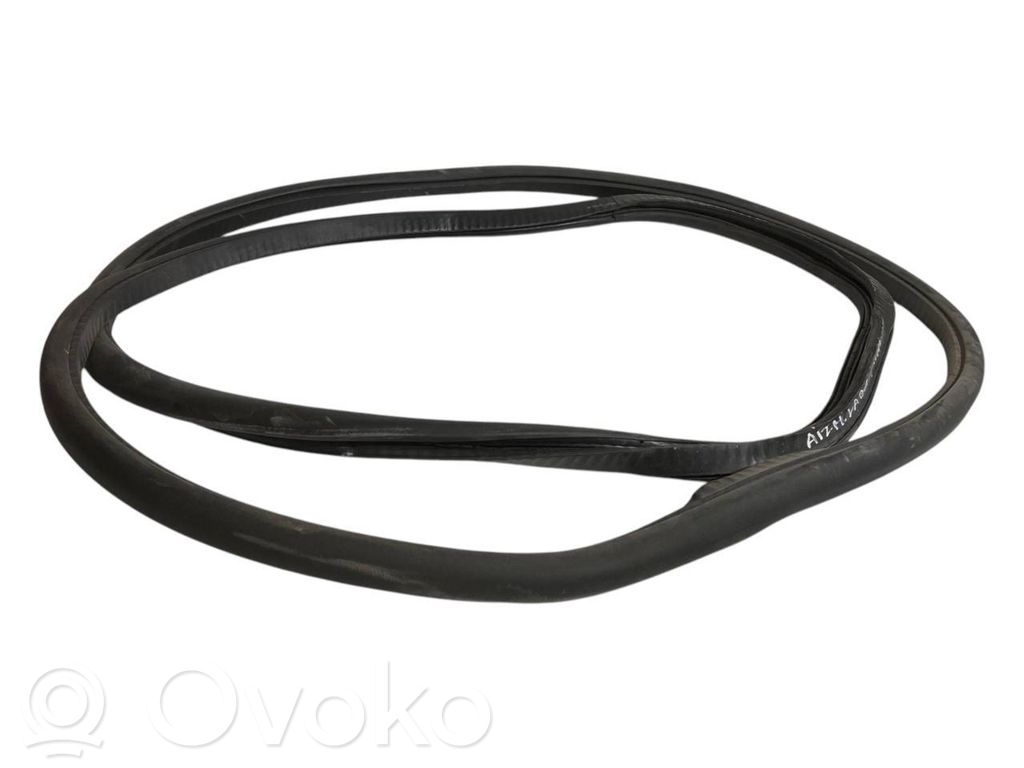 Rear trim rubber (in the body)