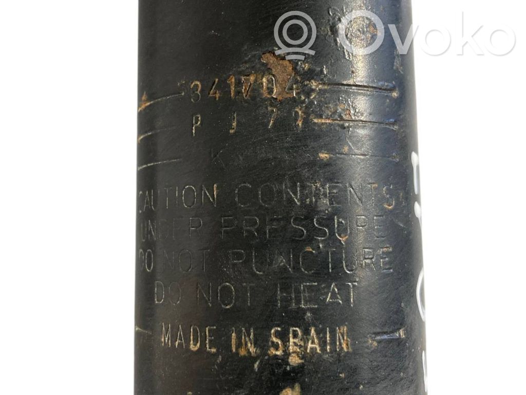 Rear shock absorber with spring