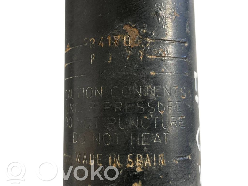 Rear shock absorber with spring