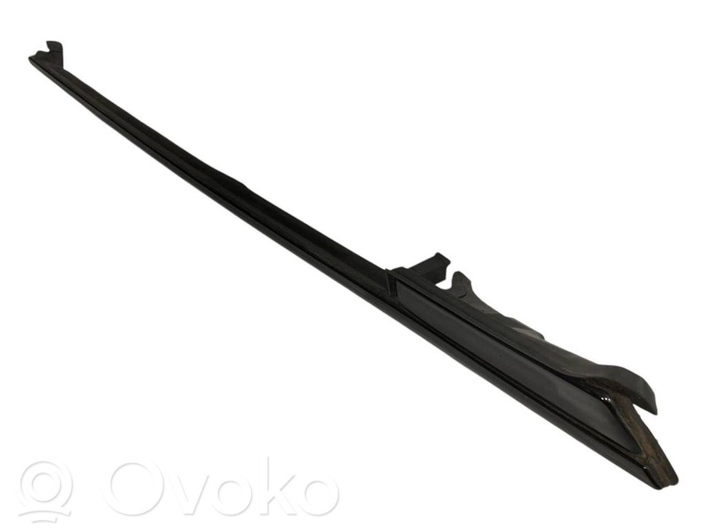 Rear door glass trim
