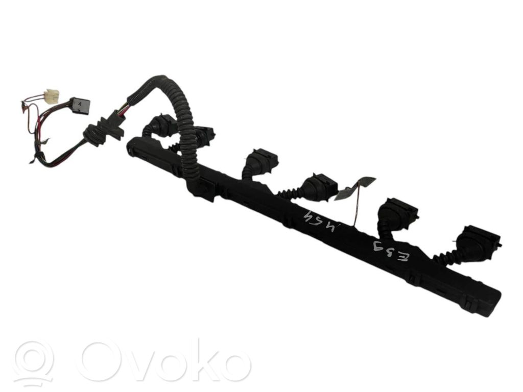 Fuel injector wires