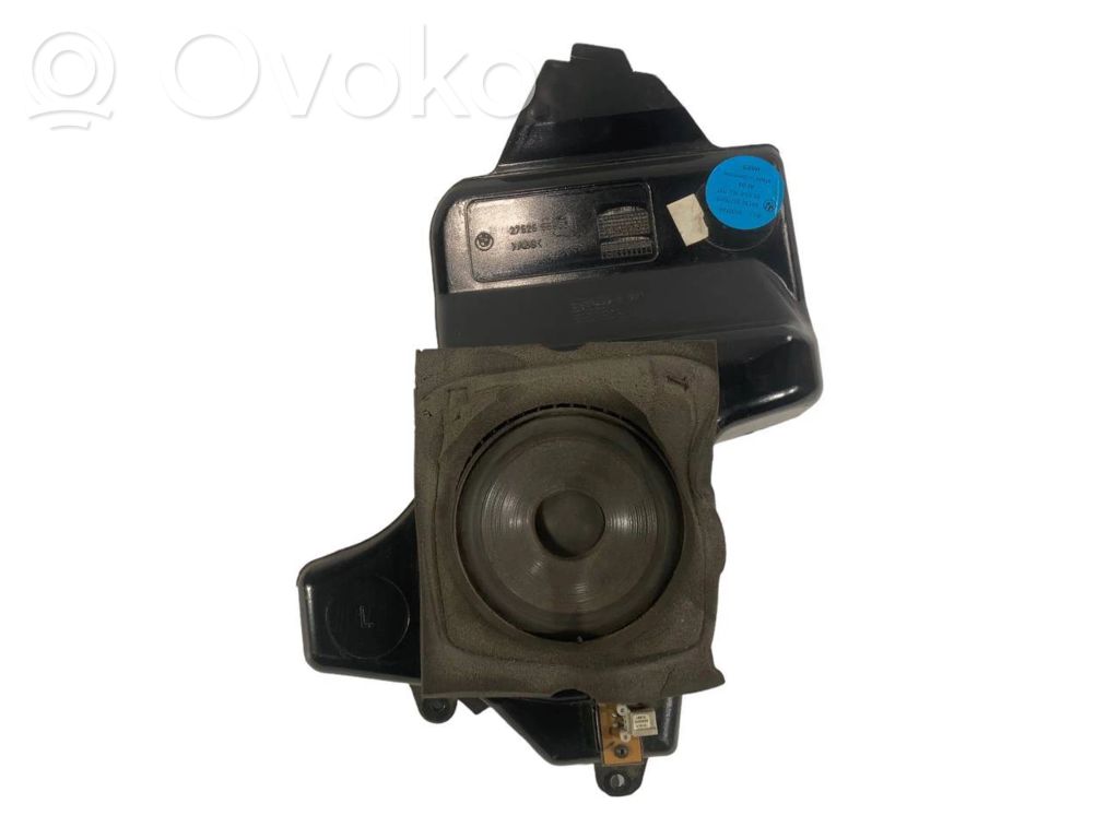 Speaker(s) in the rear door