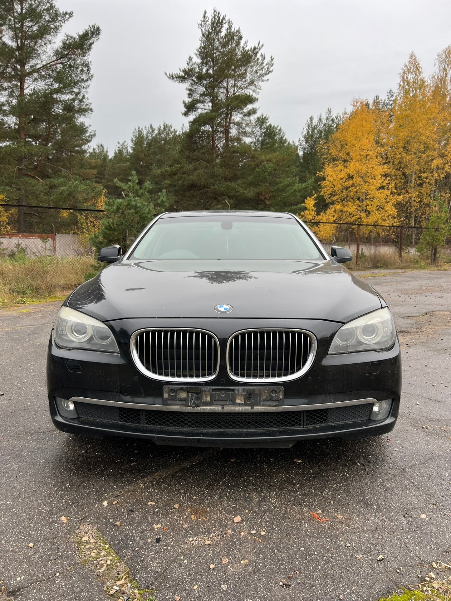 BMW 730LD 2009.G.