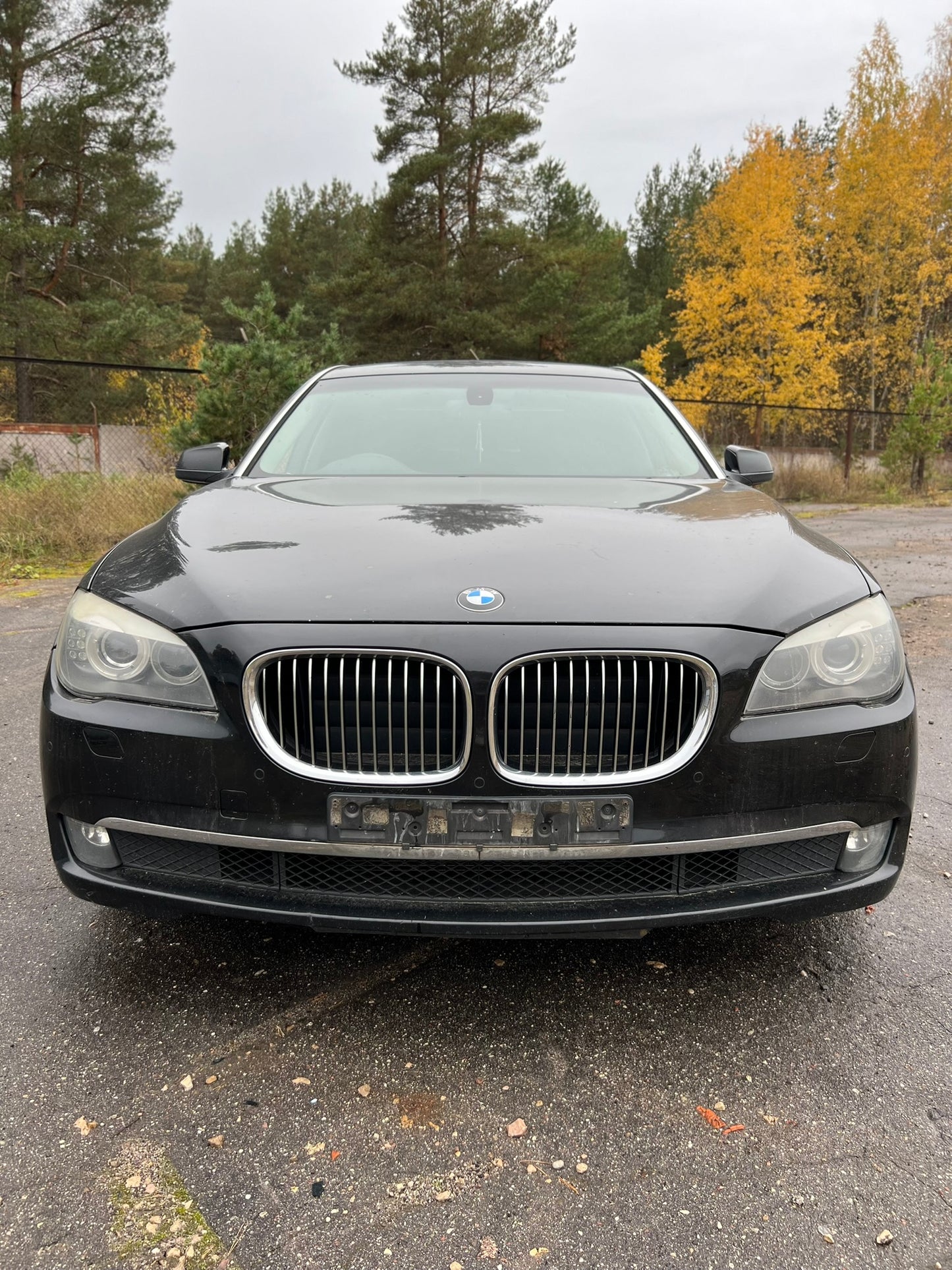 BMW 730LD 2009.G.