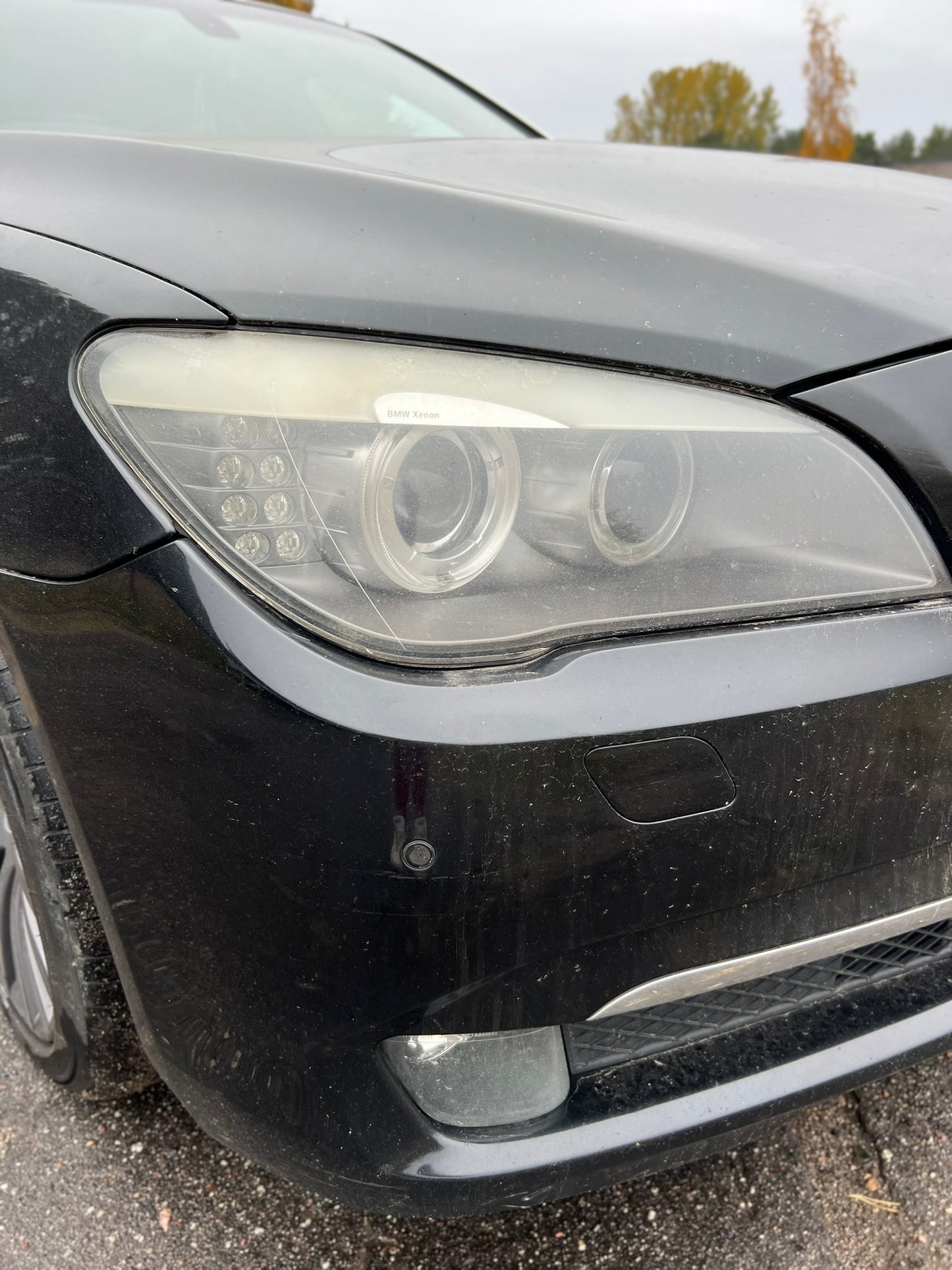 BMW 730LD 2009.G.