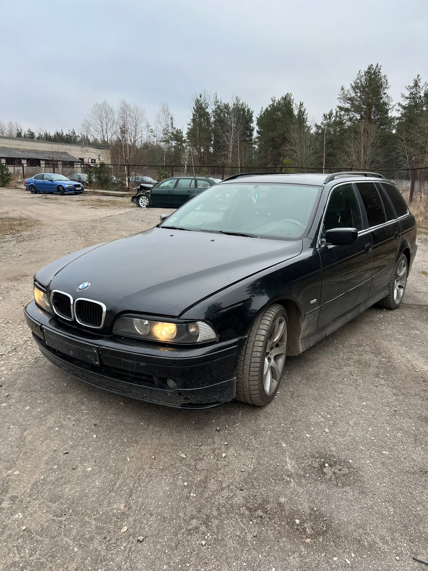 BMW E39 525 2003.G
