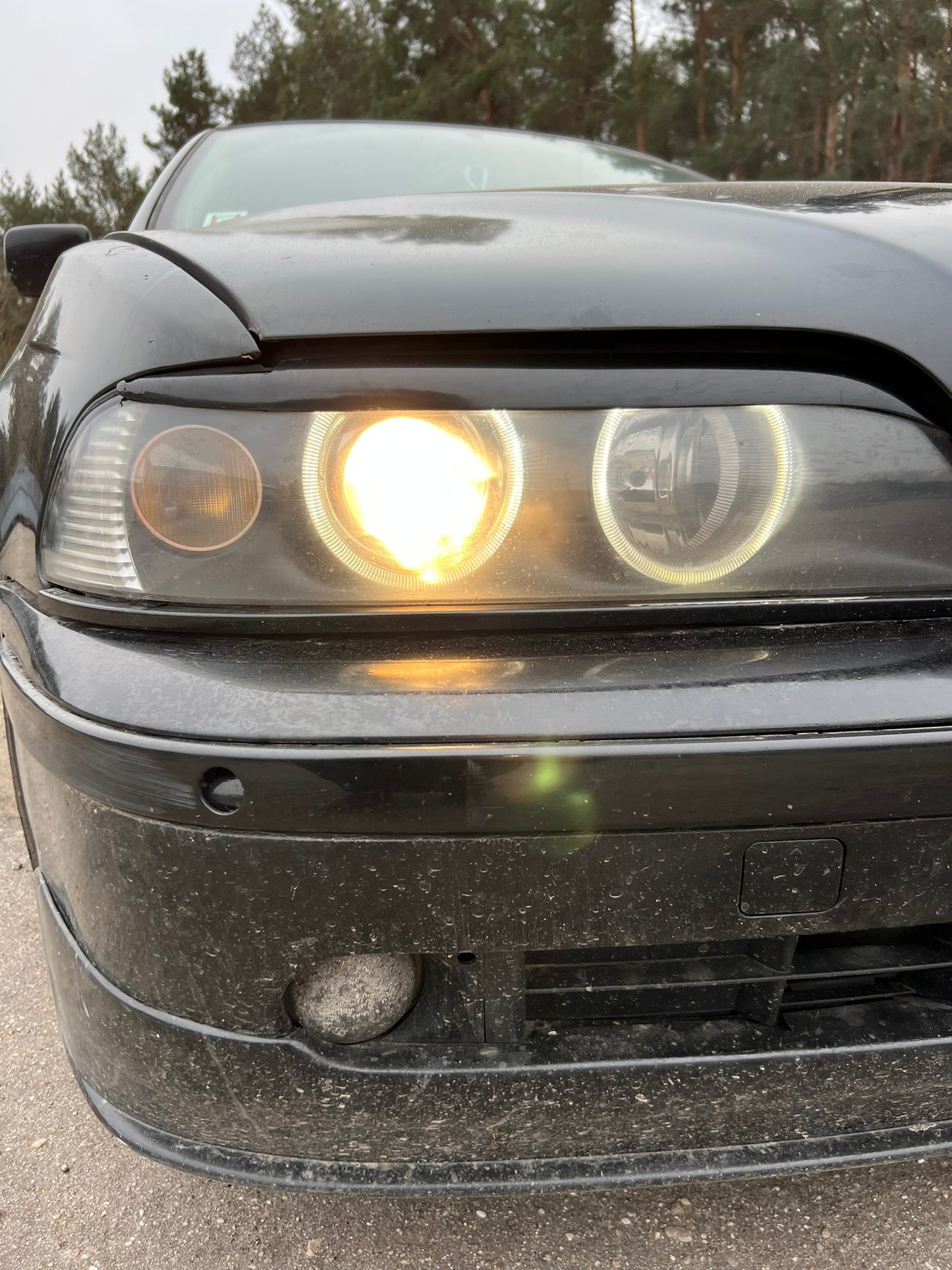 BMW E39 525 2003.G