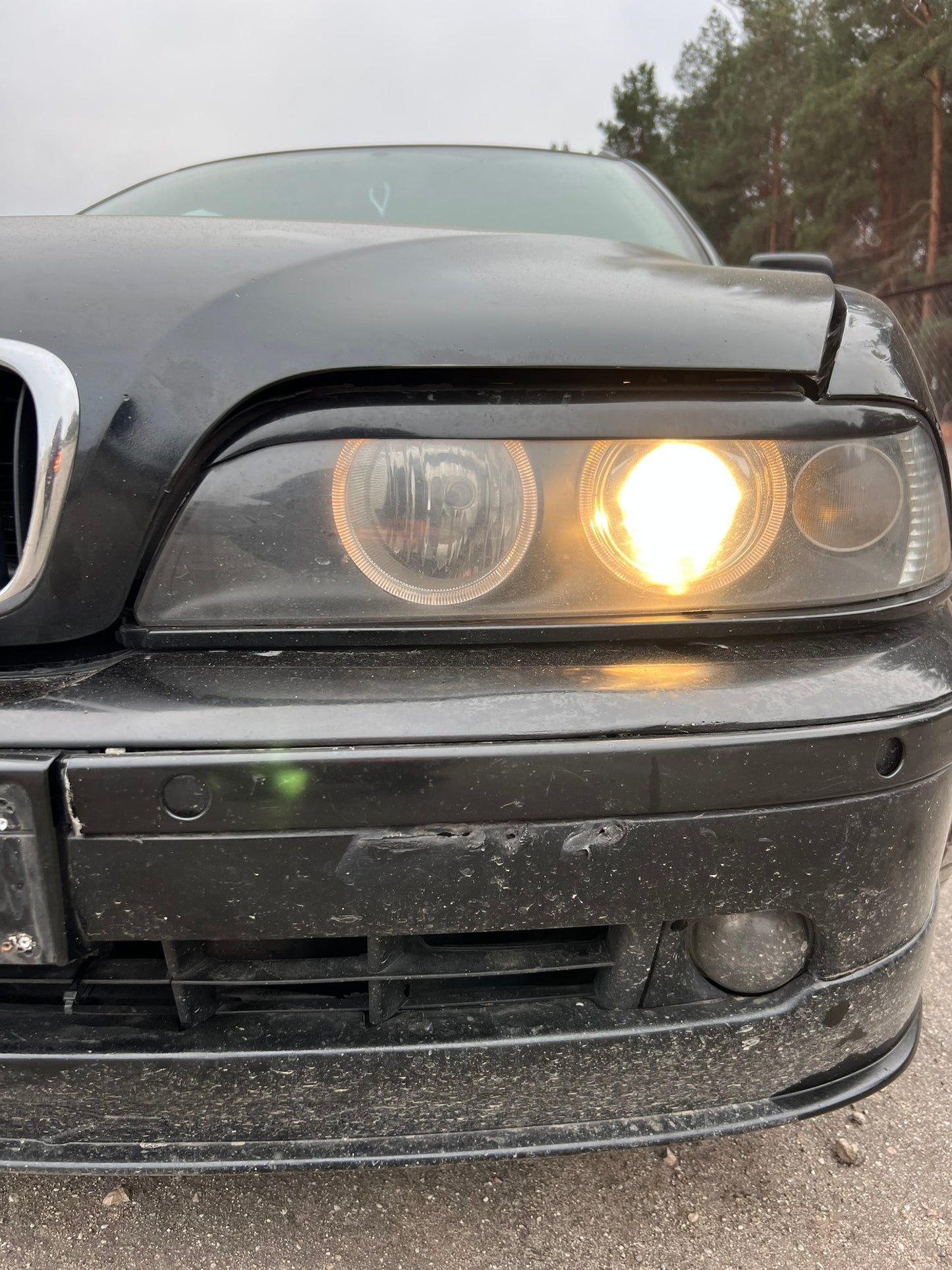 BMW E39 525 2003.G