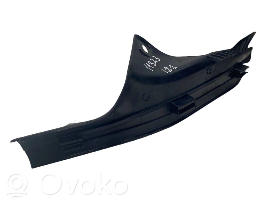 Rear door sill trim (inner)