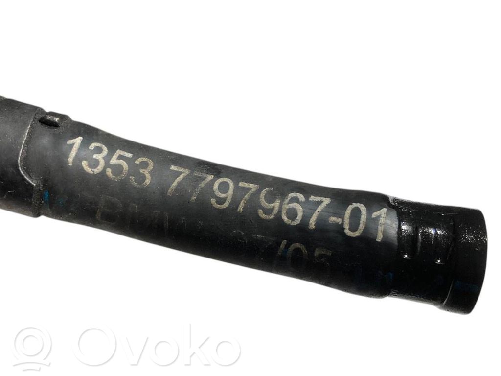 Caurule (-es) / šļūtene (-es)