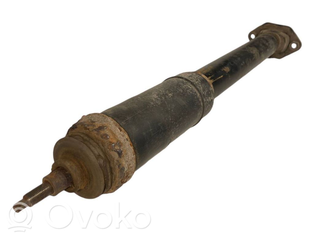 Rear shock absorber