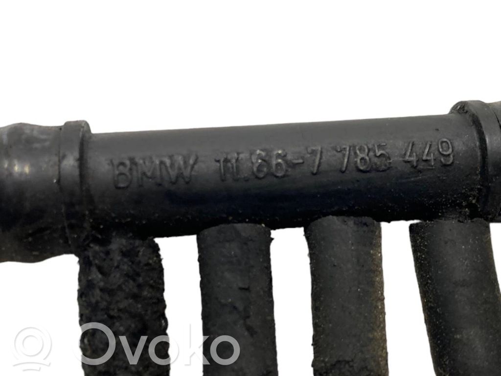 Caurulīte (-es) / šļūtene (-es)