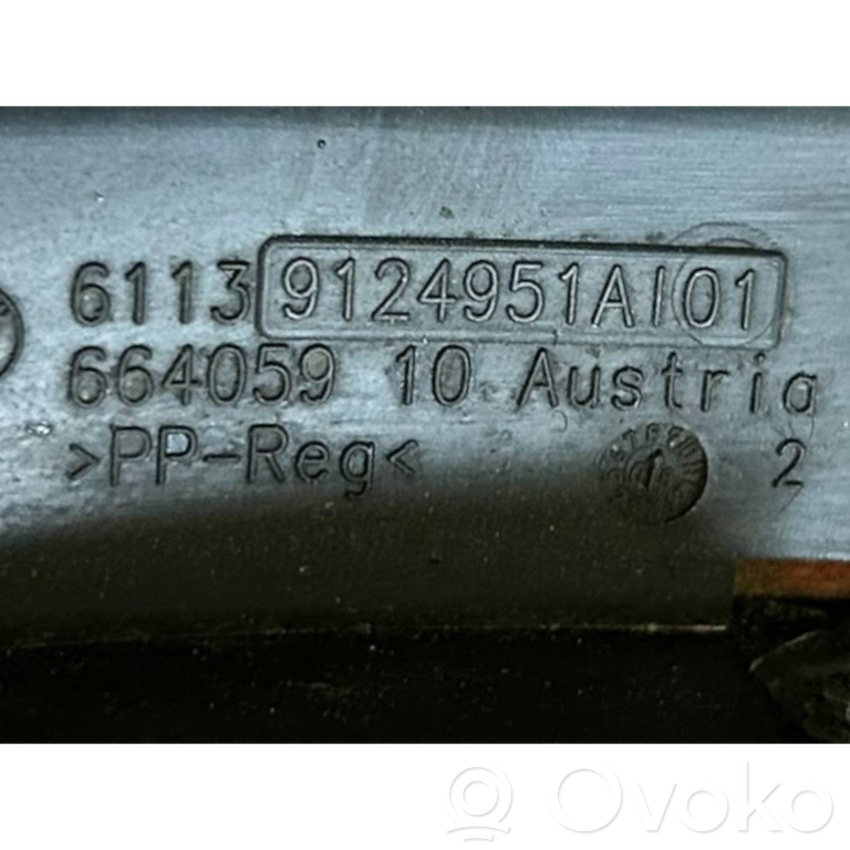 Plusa vads (akumulatora)