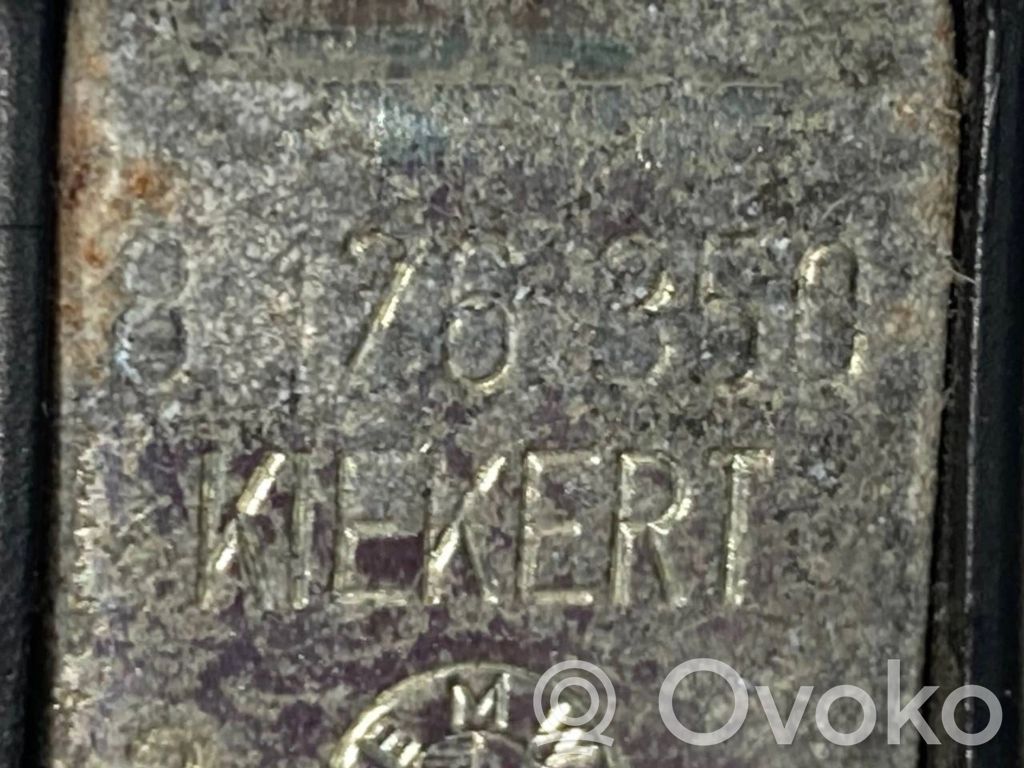 Aizmugurē slēdzenes cilpa