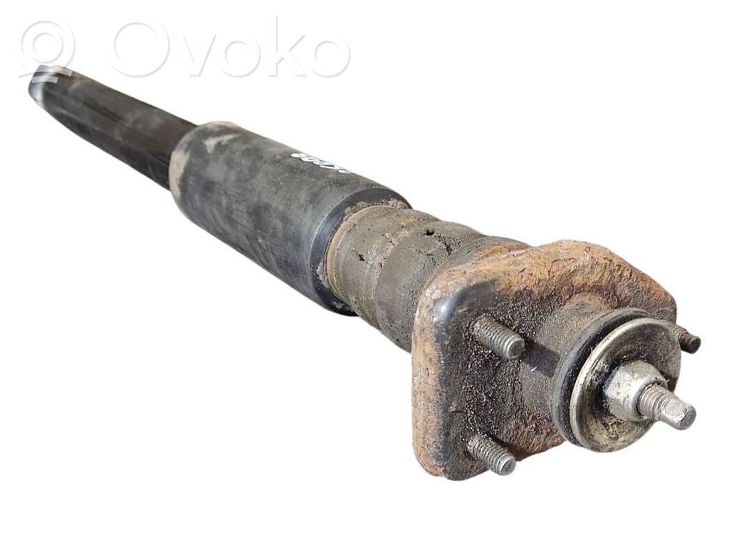 Rear shock absorber with spring