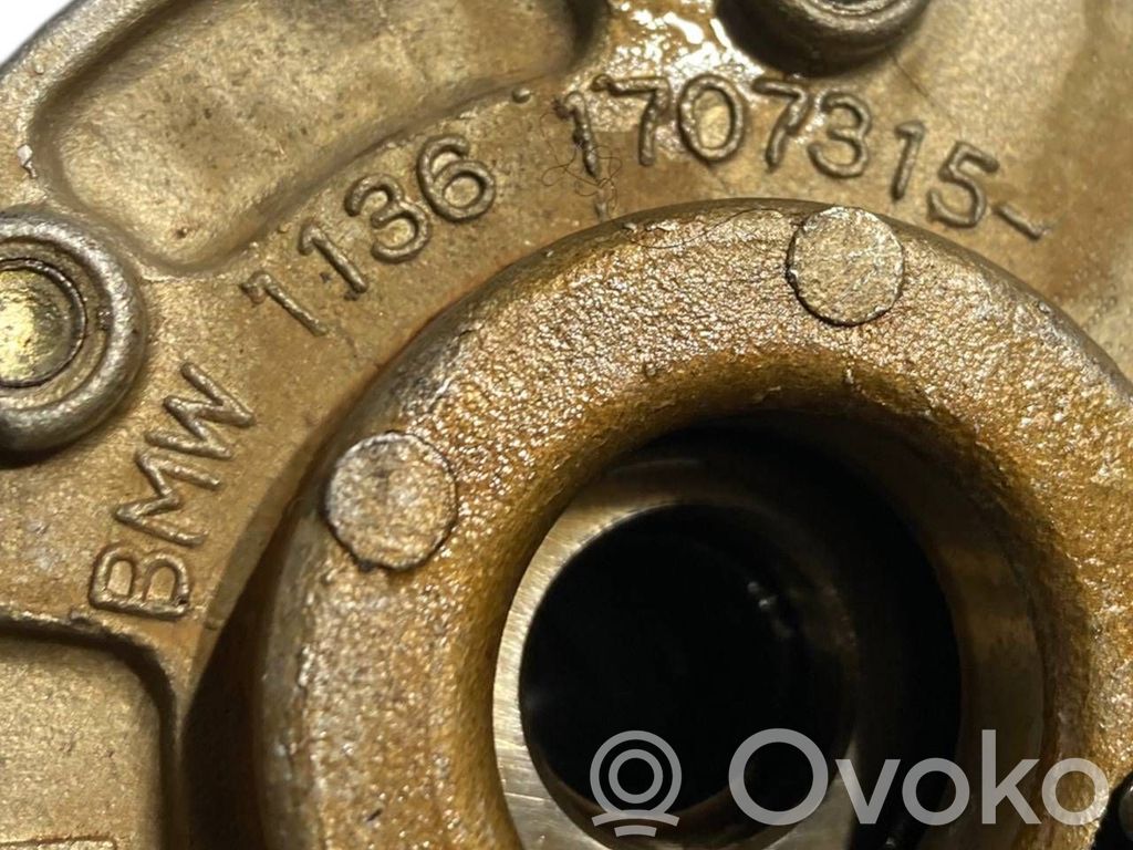 Sadales vārpstas skriemelis / "Vanos"