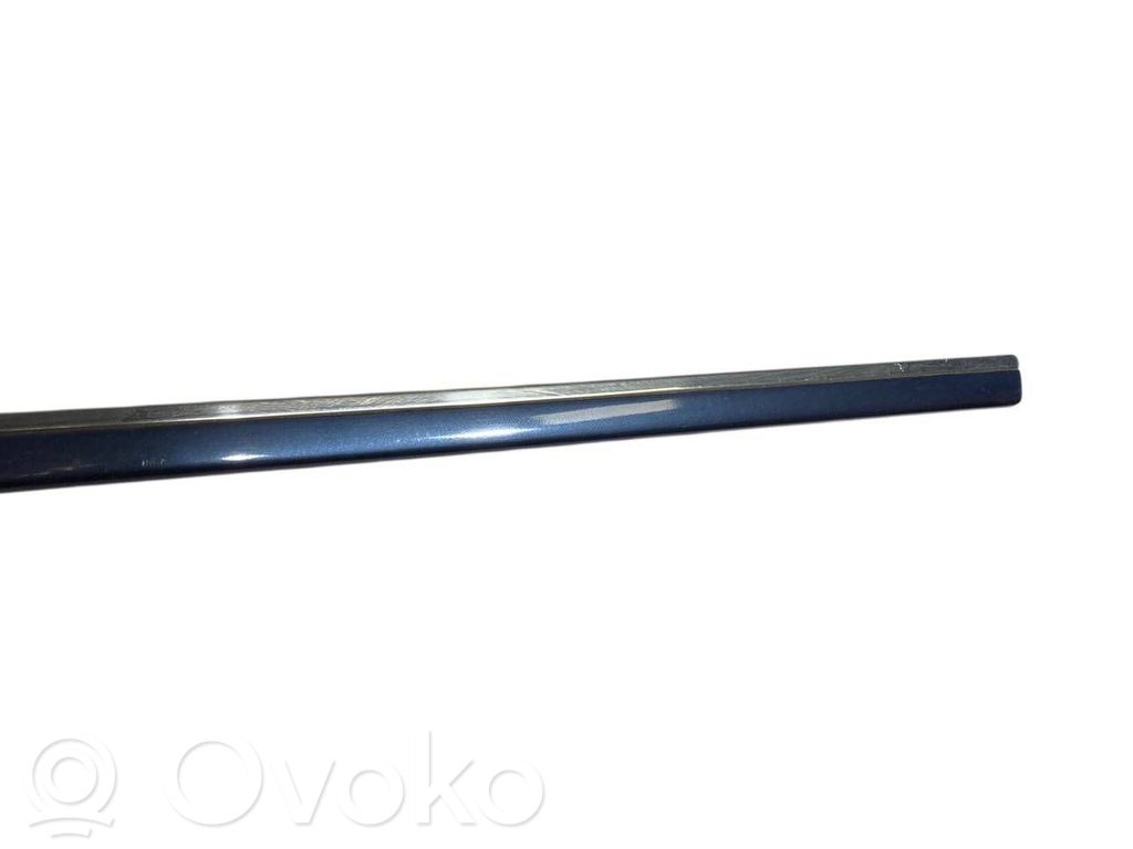 Priekšpusē durvju dekoratīvā apdare (moldings)