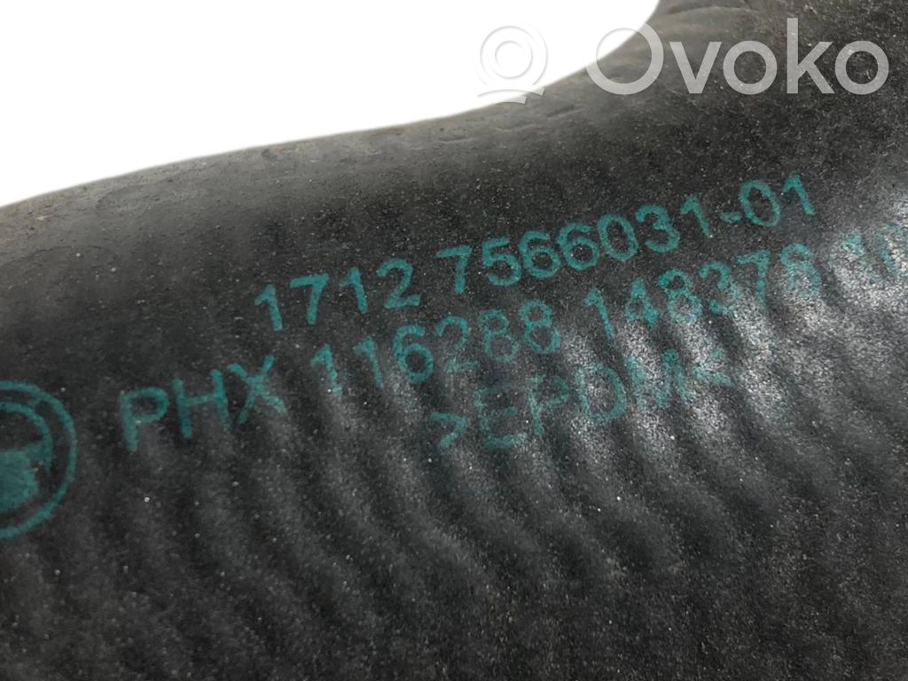 Caurulīte (-es) / šļūtene (-es)