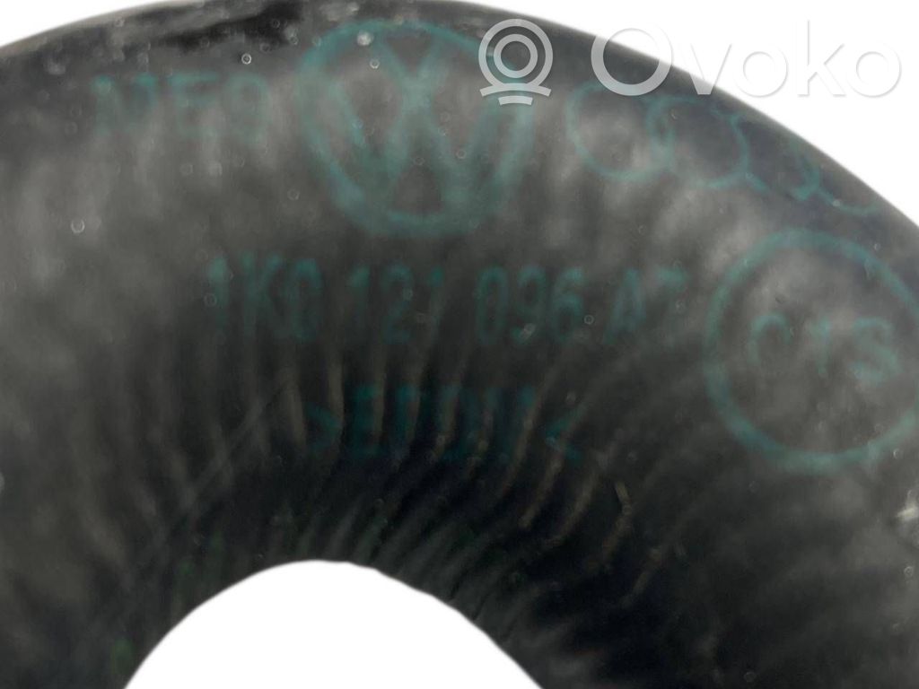 Caurulīte (-es) / šļūtene (-es)