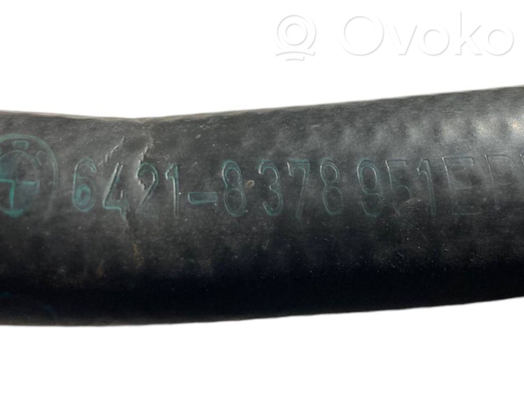 Caurulīte (-es) / šļūtene (-es)