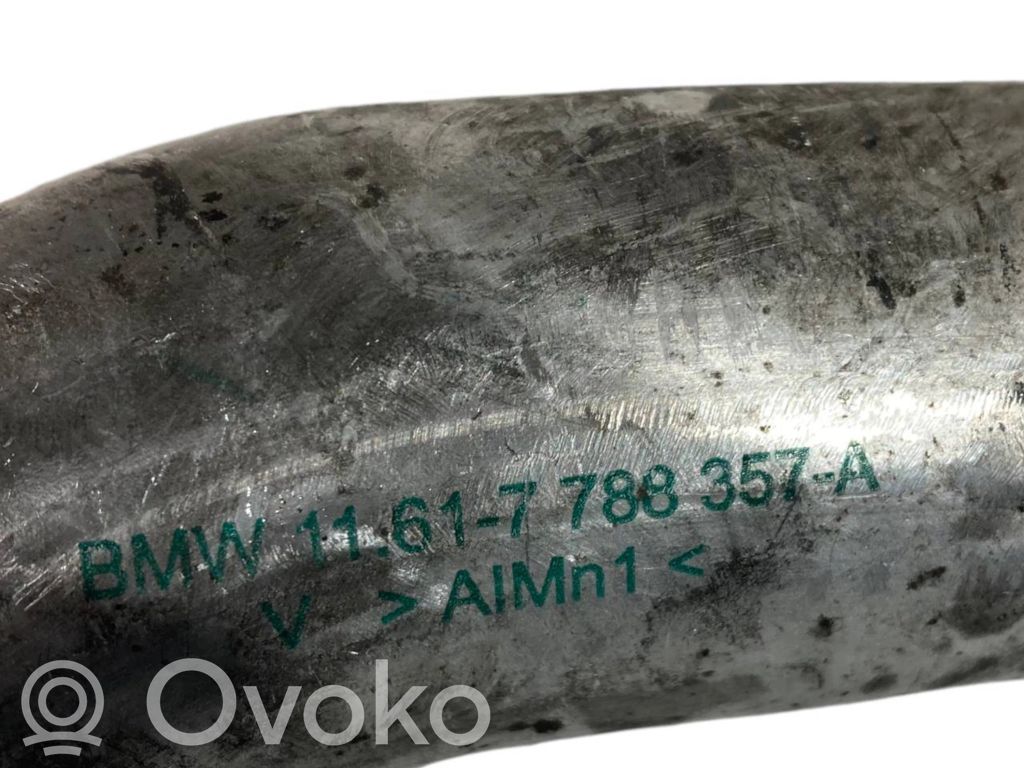 Interkūlera šļūtene (-es) / caurule (-es)