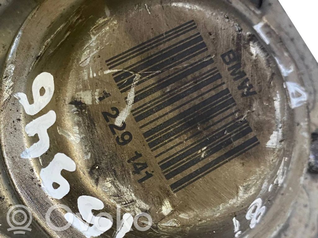 Aizmugurējā pusass