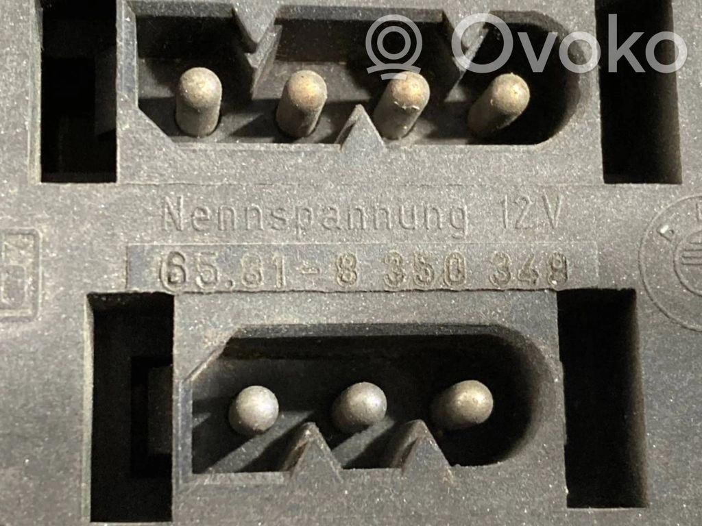 Panel decorative trim shield (lower)