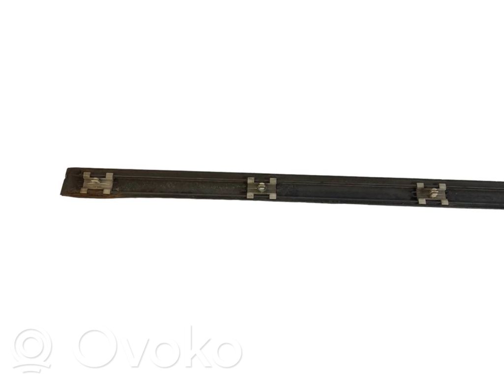 Front door decorative trim (molding)
