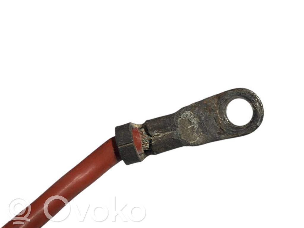 Plusa vads (akumulatora)