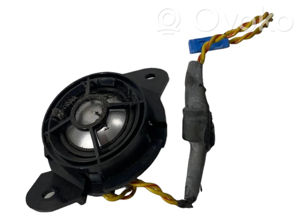 Speaker(s) in the rear door
