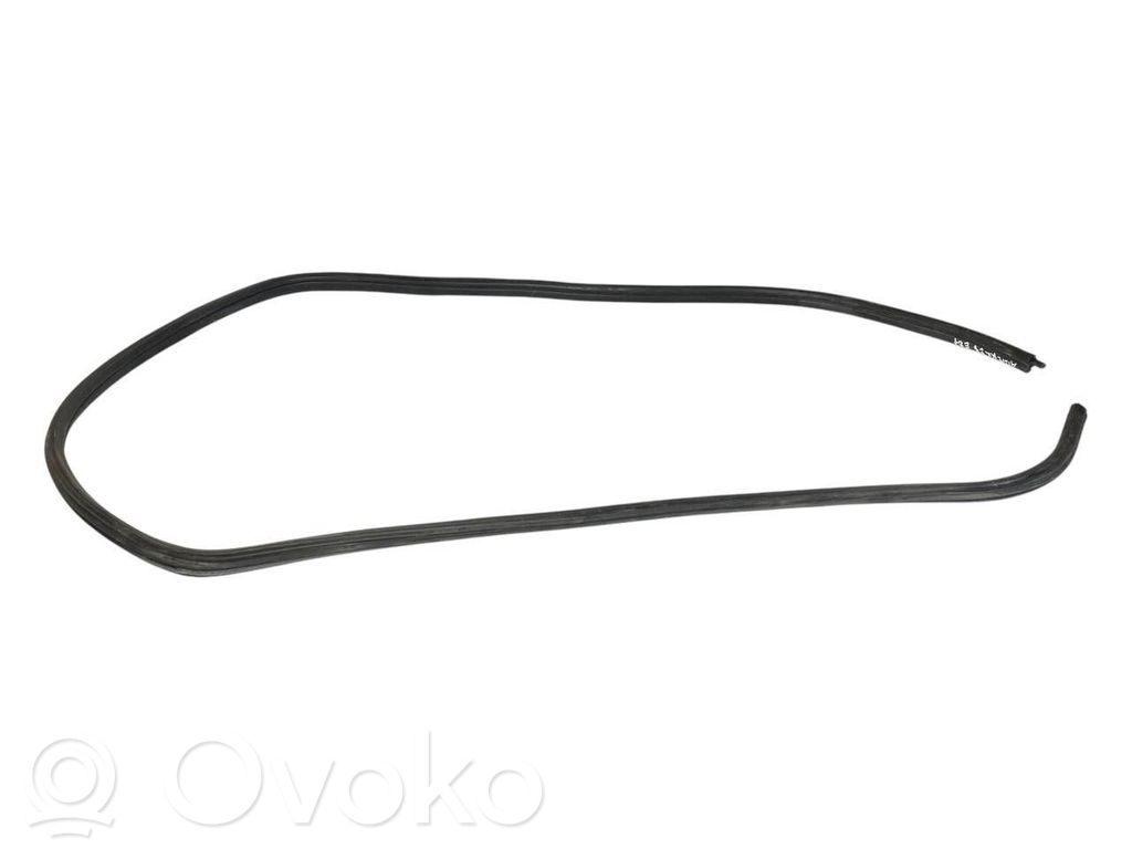Rear trim rubber (in the body)