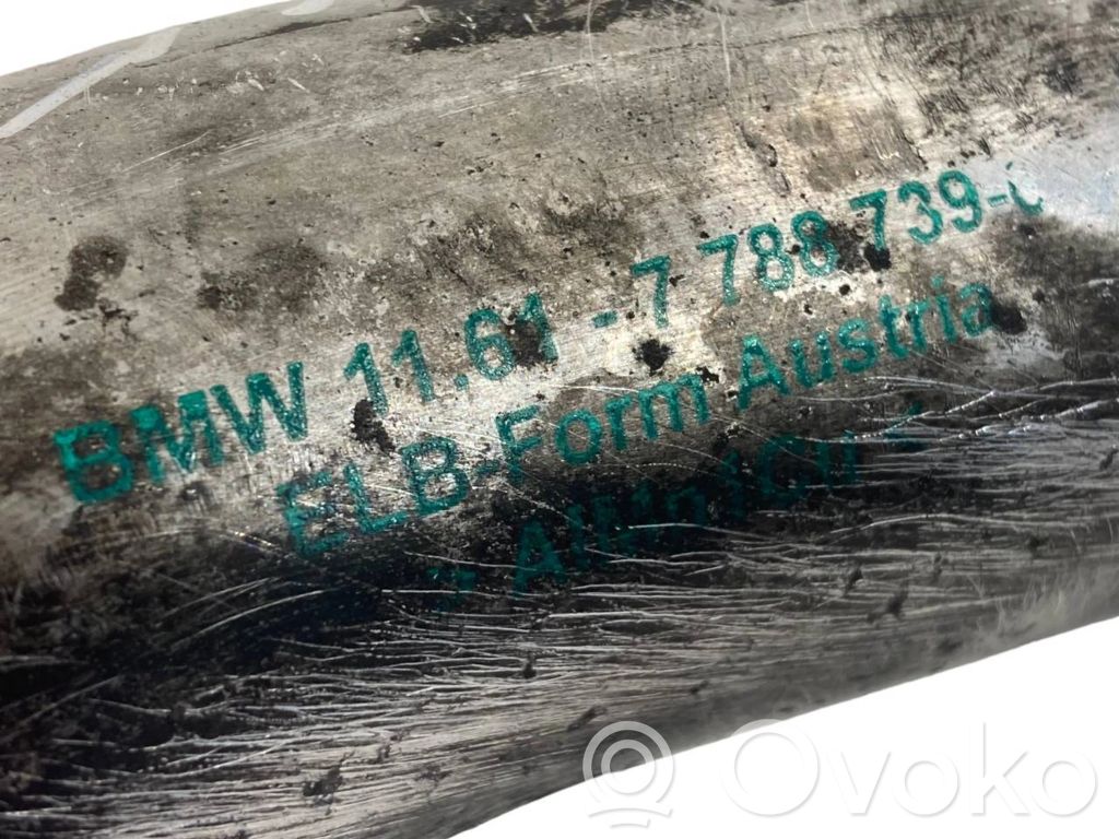 Interkūlera šļūtene (-es) / caurule (-es)