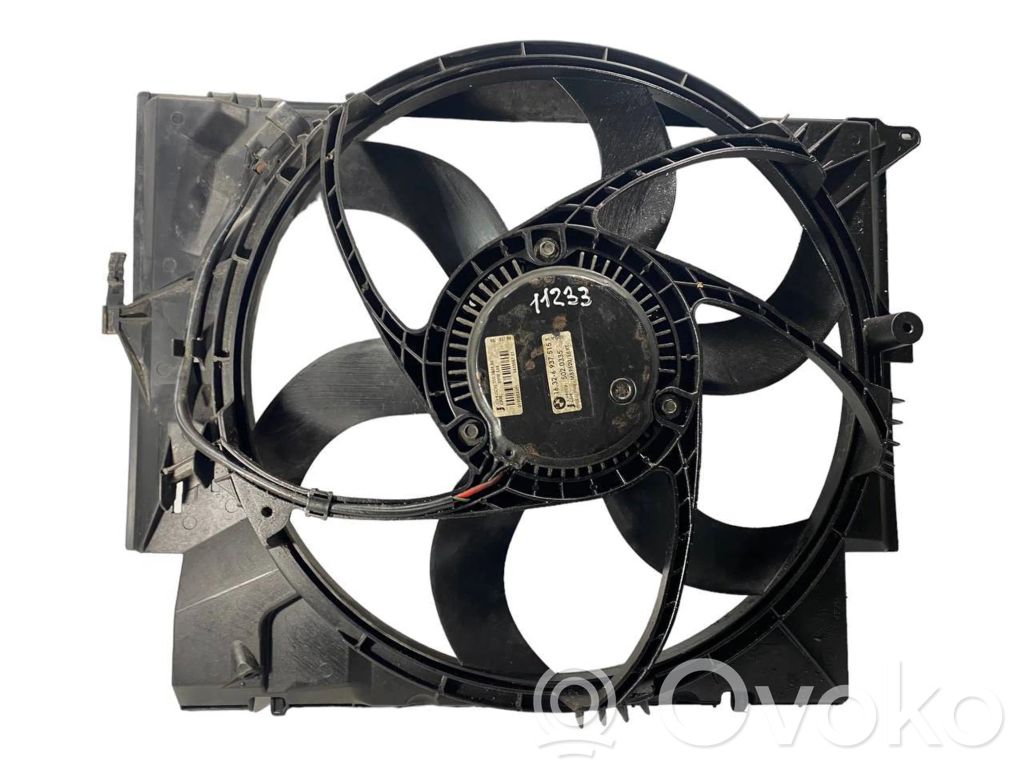 Electric radiator fan