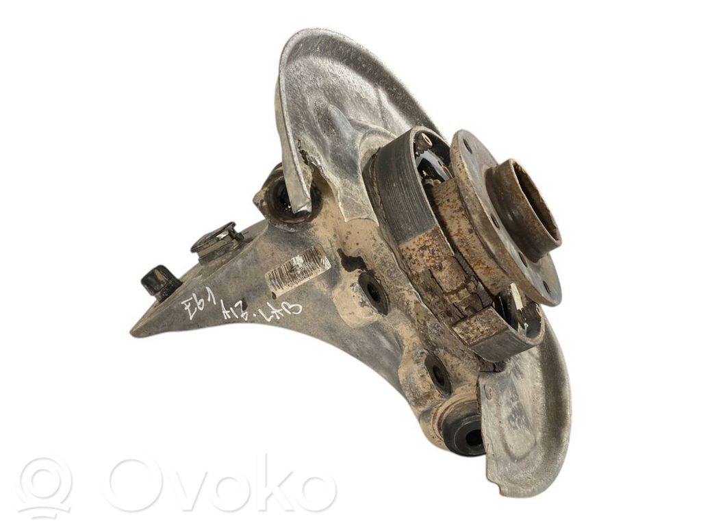 Rear wheel hub shaft joint (stupica, capfa)