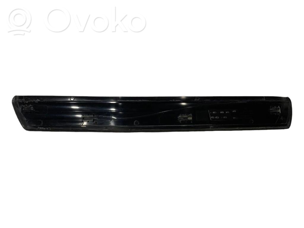 Rear door sill trim (inner)