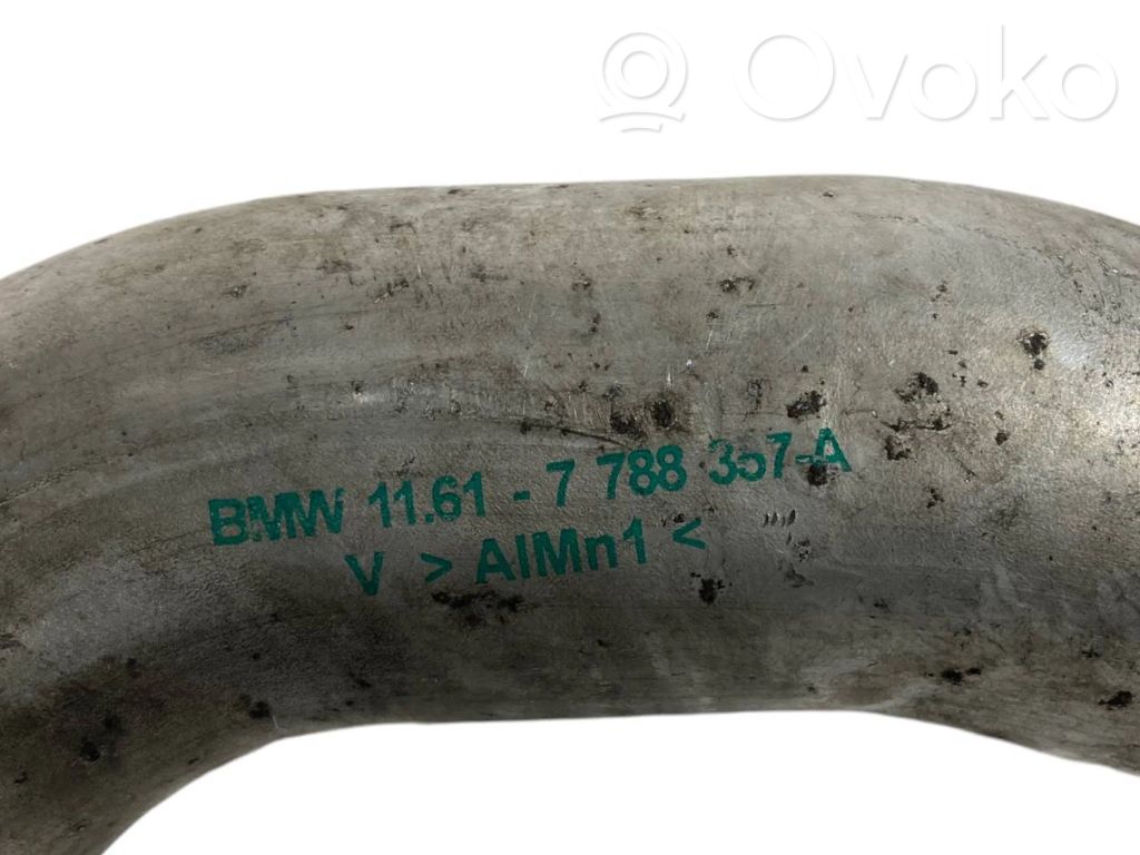 Interkūlera šļūtene (-es) / caurule (-es)