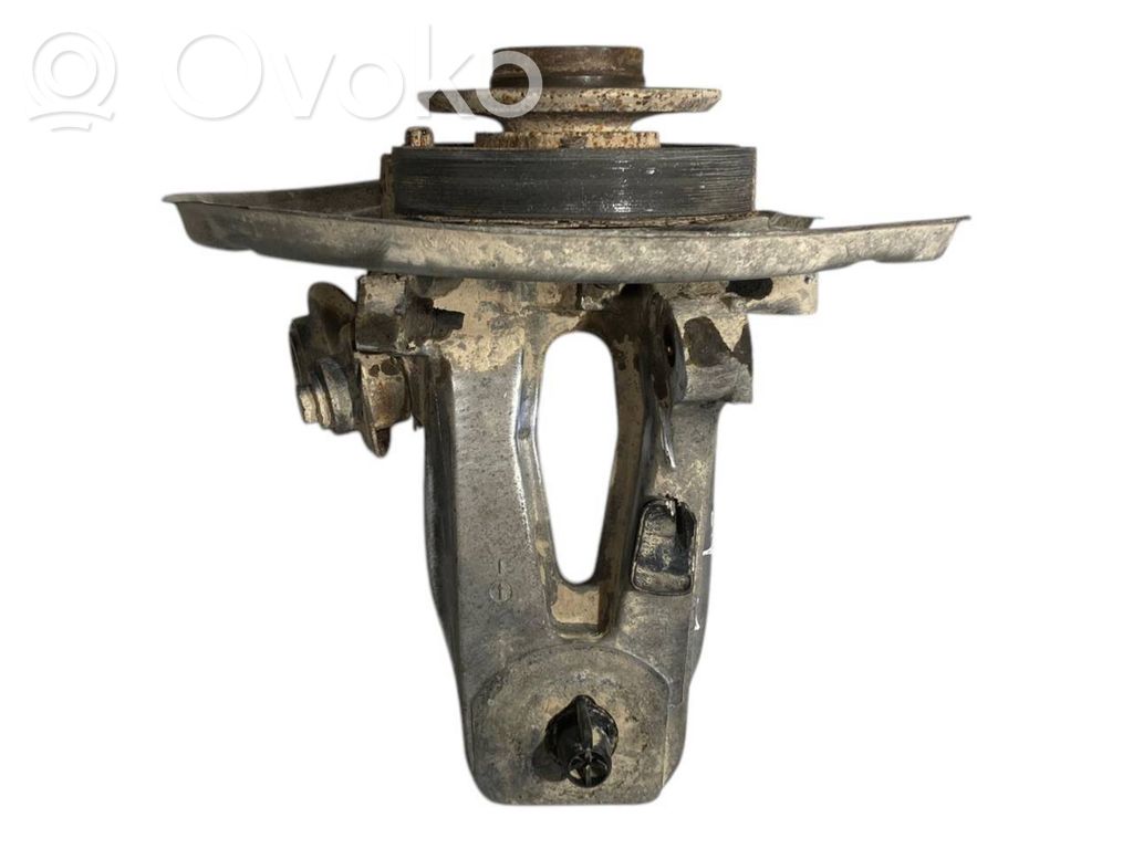 Rear wheel hub shaft joint (stupica, capfa)