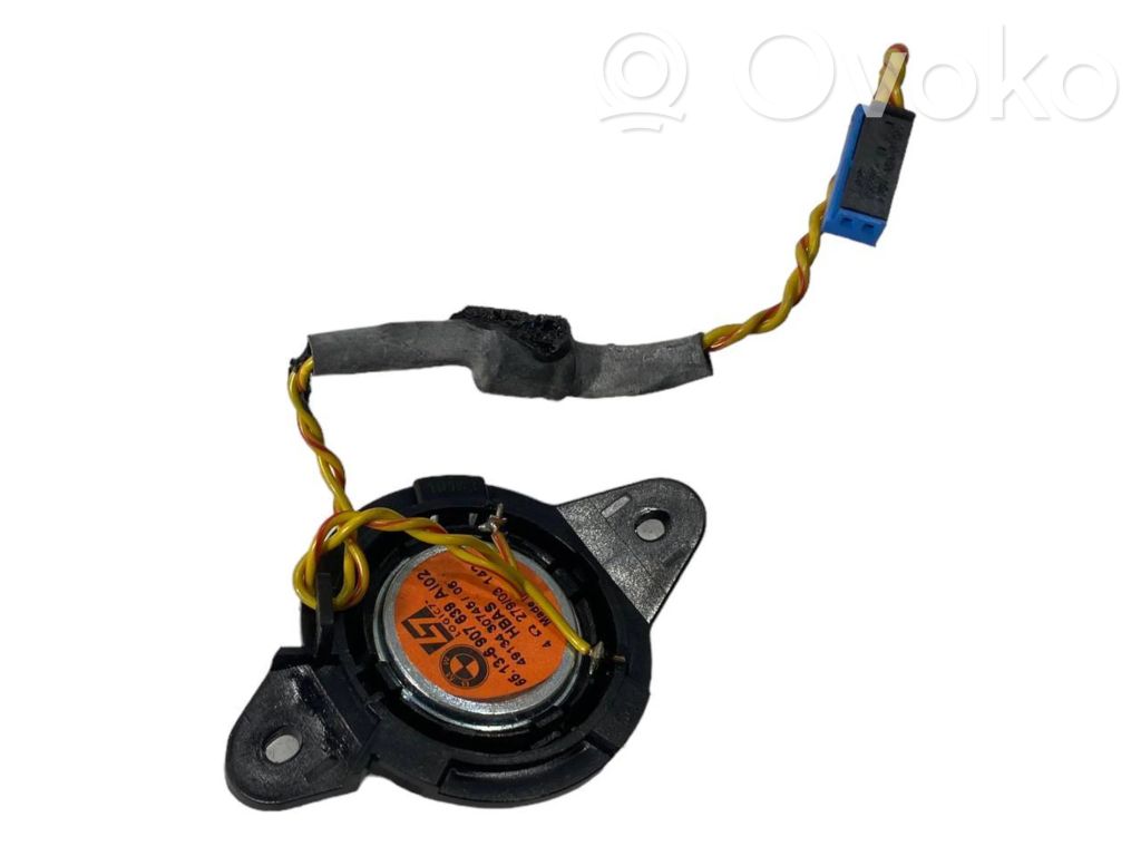 Speaker(s) in the rear door