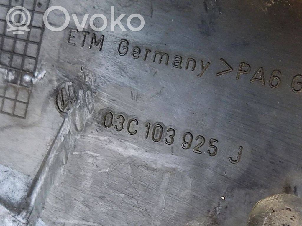 Dzinēja pārsegs (dekoratīva apdare)